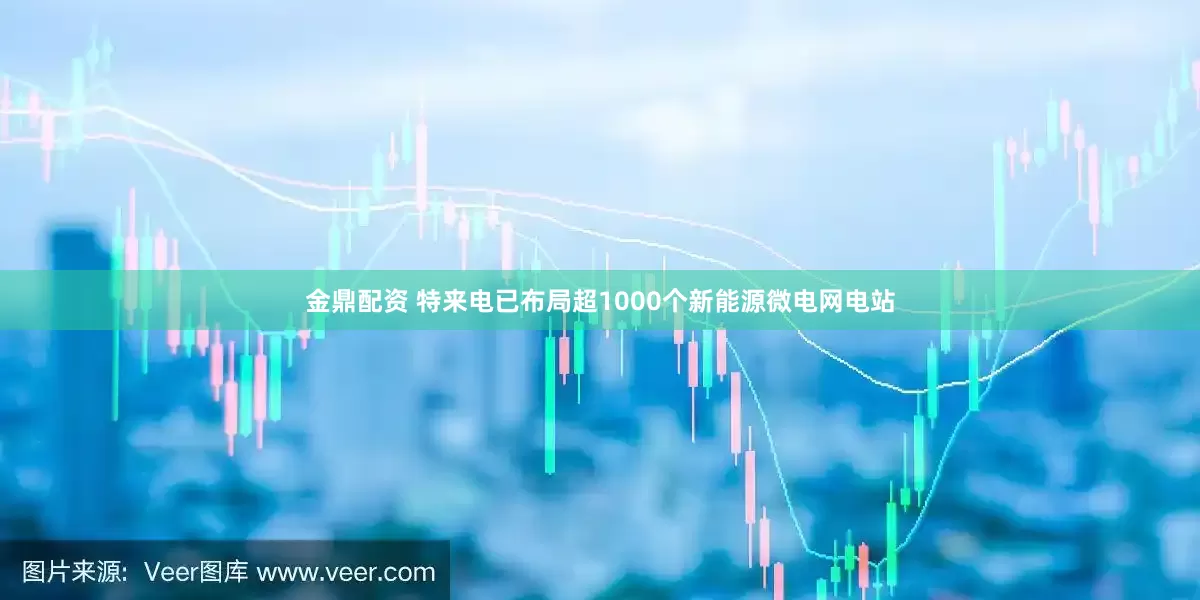 金鼎配资 特来电已布局超1000个新能源微电网电站