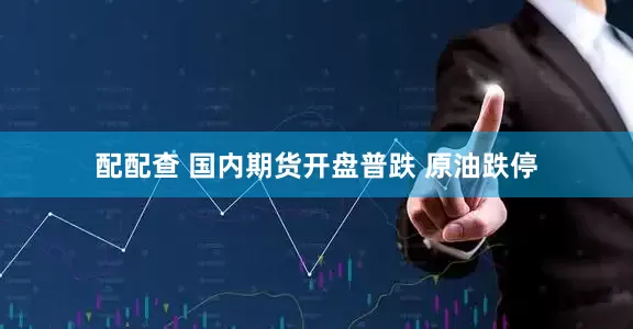 配配查 国内期货开盘普跌 原油跌停