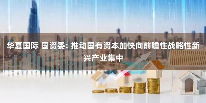 华夏国际 国资委: 推动国有资本加快向前瞻性战略性新兴产业集中