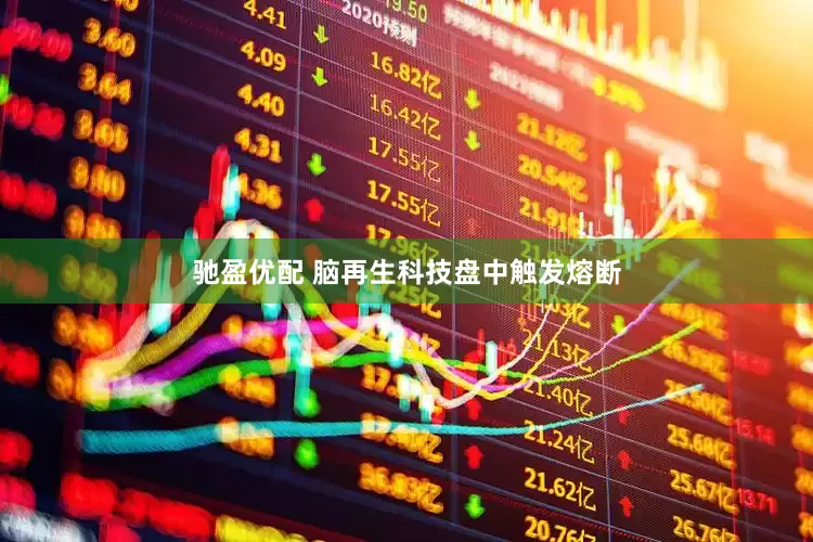 驰盈优配 脑再生科技盘中触发熔断