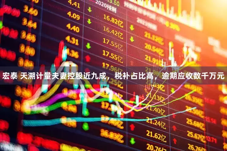 宏泰 天溯计量夫妻控股近九成，税补占比高，逾期应收数千万元