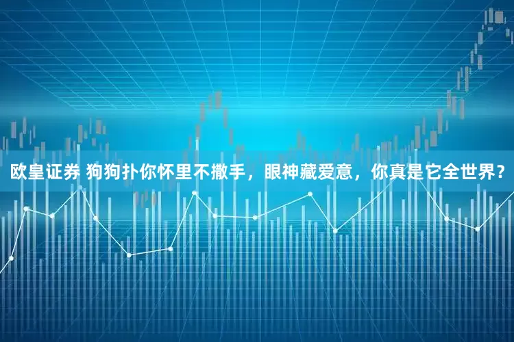 欧皇证券 狗狗扑你怀里不撒手，眼神藏爱意，你真是它全世界？