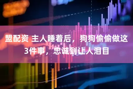 盟配资 主人睡着后，狗狗偷偷做这3件事，忠诚到让人泪目