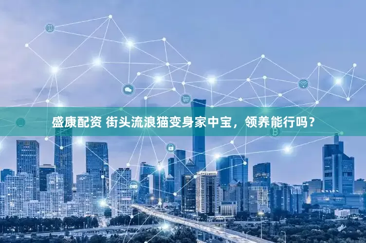 盛康配资 街头流浪猫变身家中宝，领养能行吗？