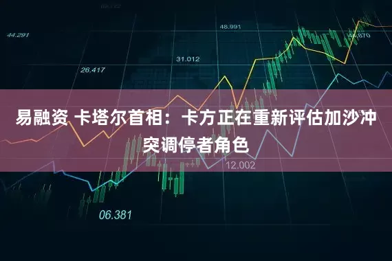 易融资 卡塔尔首相：卡方正在重新评估加沙冲突调停者角色