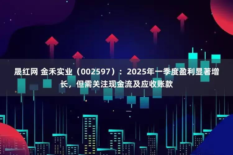 晟红网 金禾实业（002597）：2025年一季度盈利显著增长，但需关注现金流及应收账款